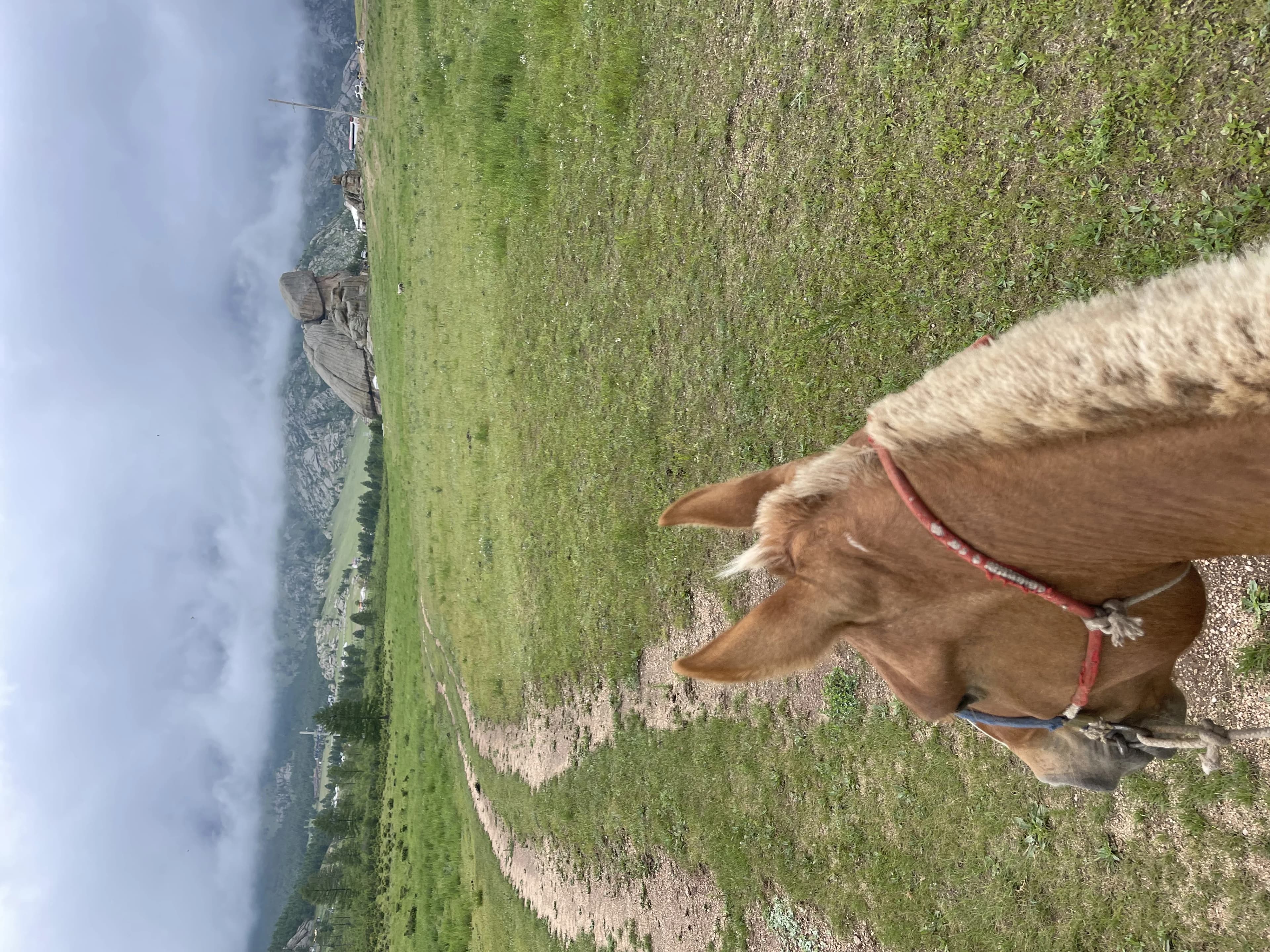 モンゴルの風景